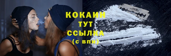 твердый Горнозаводск