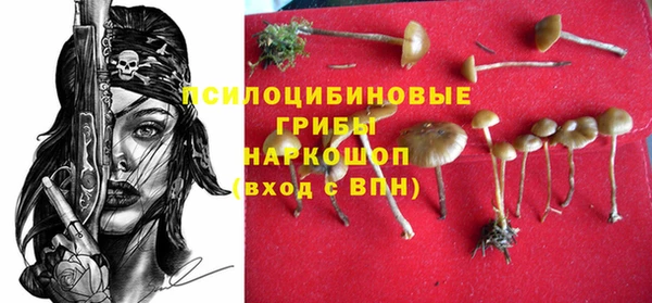 твердый Горнозаводск