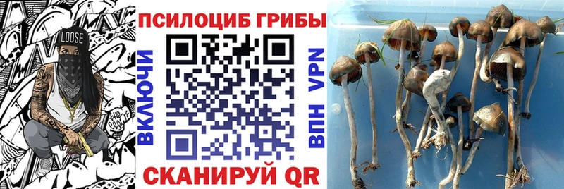 Галлюциногенные грибы мицелий  Данилов 